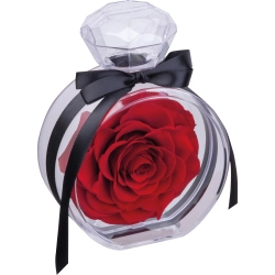 Dekorative Rose