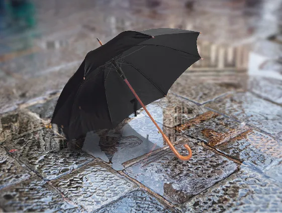 Regenschirm mit Holzgriff Online-Druck 1
